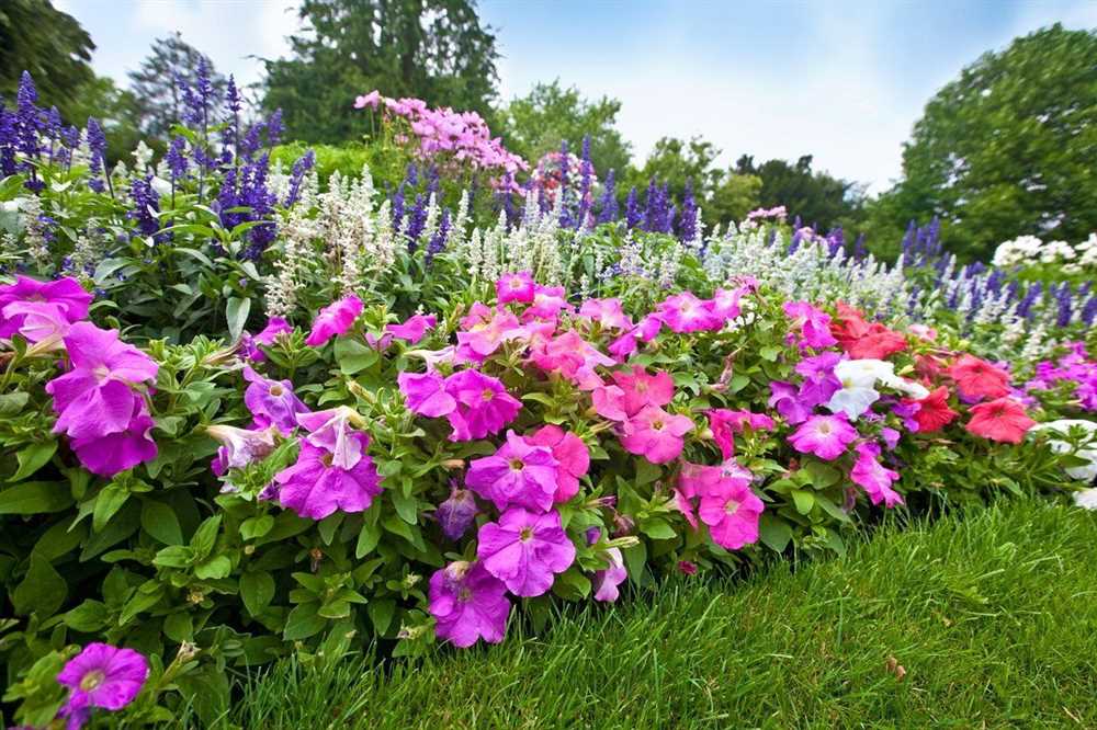 Как выбрать и компоновать кустарники для красивого цветника
