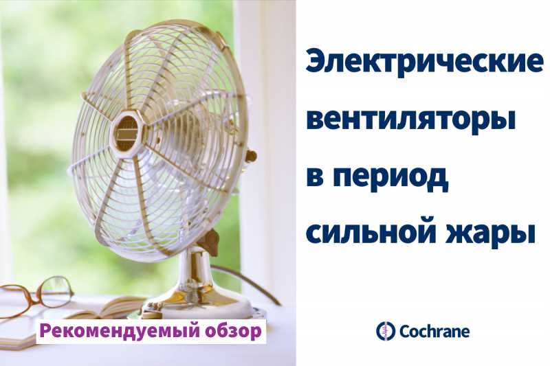Вентиляторы: уют и комфорт в жару