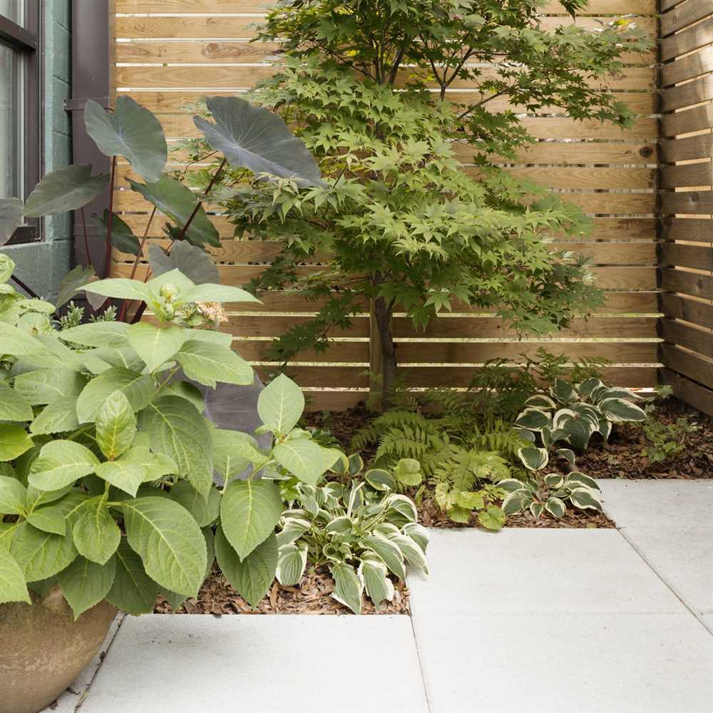 Создание ухода за садом максимально упрощенным - советы по созданию низкомобильного сада с минимальным вниманием к уходу Как сделать сад безухажерным: создание низкомобильного сада с минимумом ухода