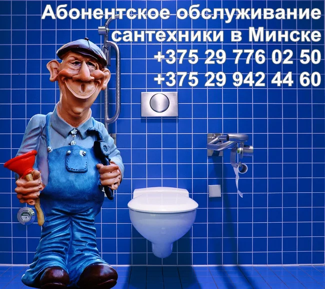 Профессиональное обслуживание сантехники: за и против