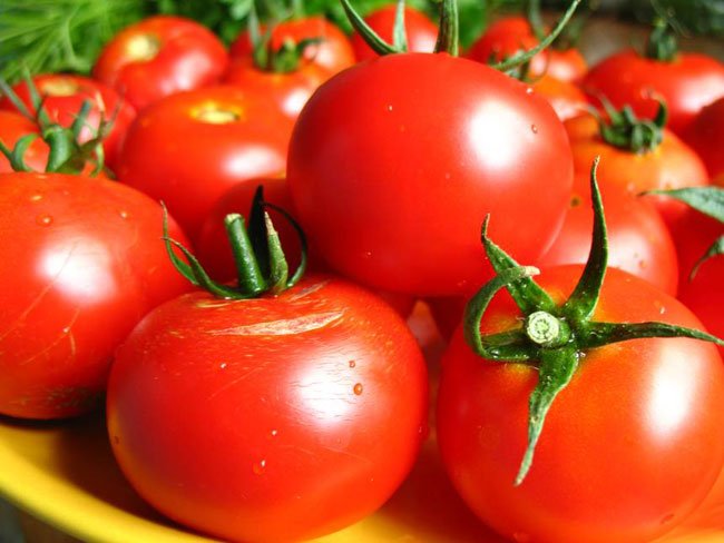 Самые плодоносящие сорта томатов, помидор. Как получить максимальный урожай помидор