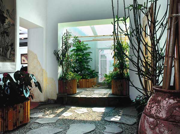 Зимний сад в своей квартире – как такую мечту сделать реальностью?