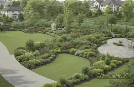 Как сочетать овальные и ланцетные листья