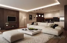 Дизайн магазинов для животных