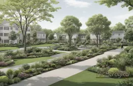 Эхинацея — лекарственная красота