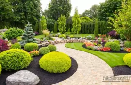 Цветы для сада бабочек: привлекаем красочных насекомых