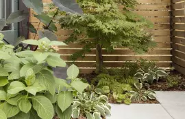 Как сделать сад безухажерным: создание низкомобильного сада с минимумом ухода