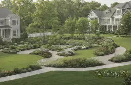 Как выбрать растения по освещению для участка