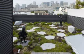 Сад на крыше: создание ландшафтных проектов на плоских крышах зданий