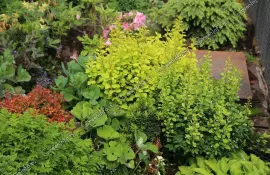 Влияние почвы на здоровье растений: основы агрохимии для ландшафтного дизайнера