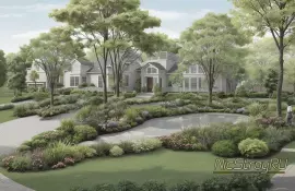 Как текстура листвы подчеркивает цвет