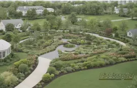 Как сочетать плодовые с декоративными