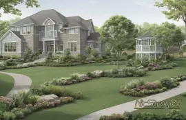 Арония (черноплодка) в ландшафтном дизайне