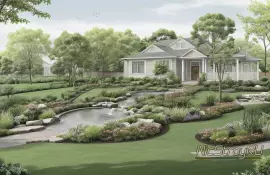 Жимолость каприфоль — ароматный фаворит сада